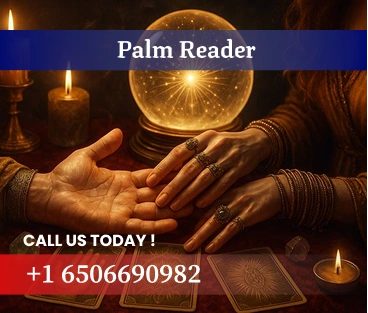 Palm reader in Florida