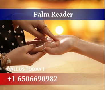 Palm reader in Florida